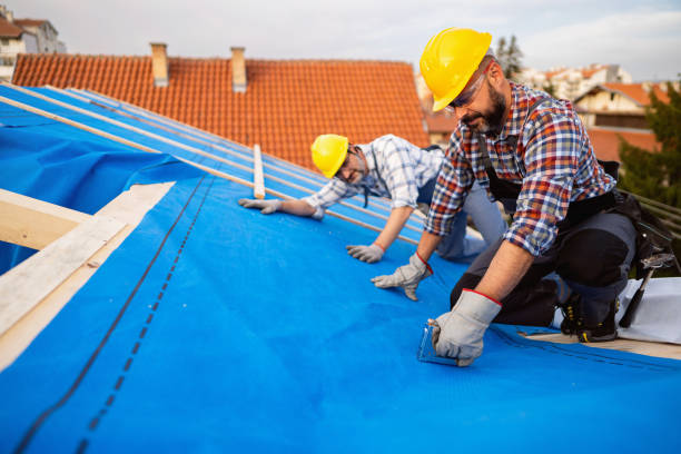 Gutter Installation and Roofing in Phoenix, IL