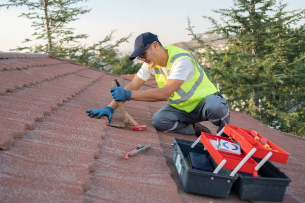 Residential Roof Replacement in Phoenix, IL