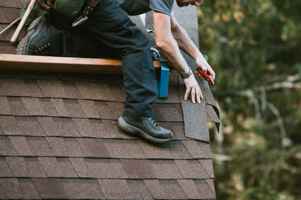 Gutter Installation and Roofing in Phoenix, IL